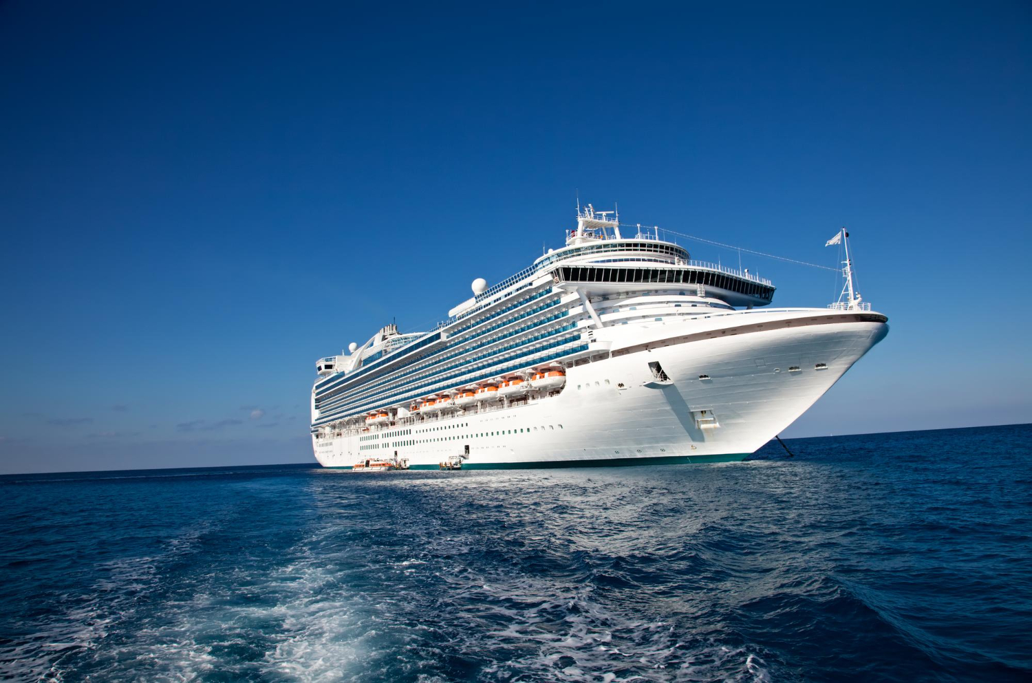 Cruise