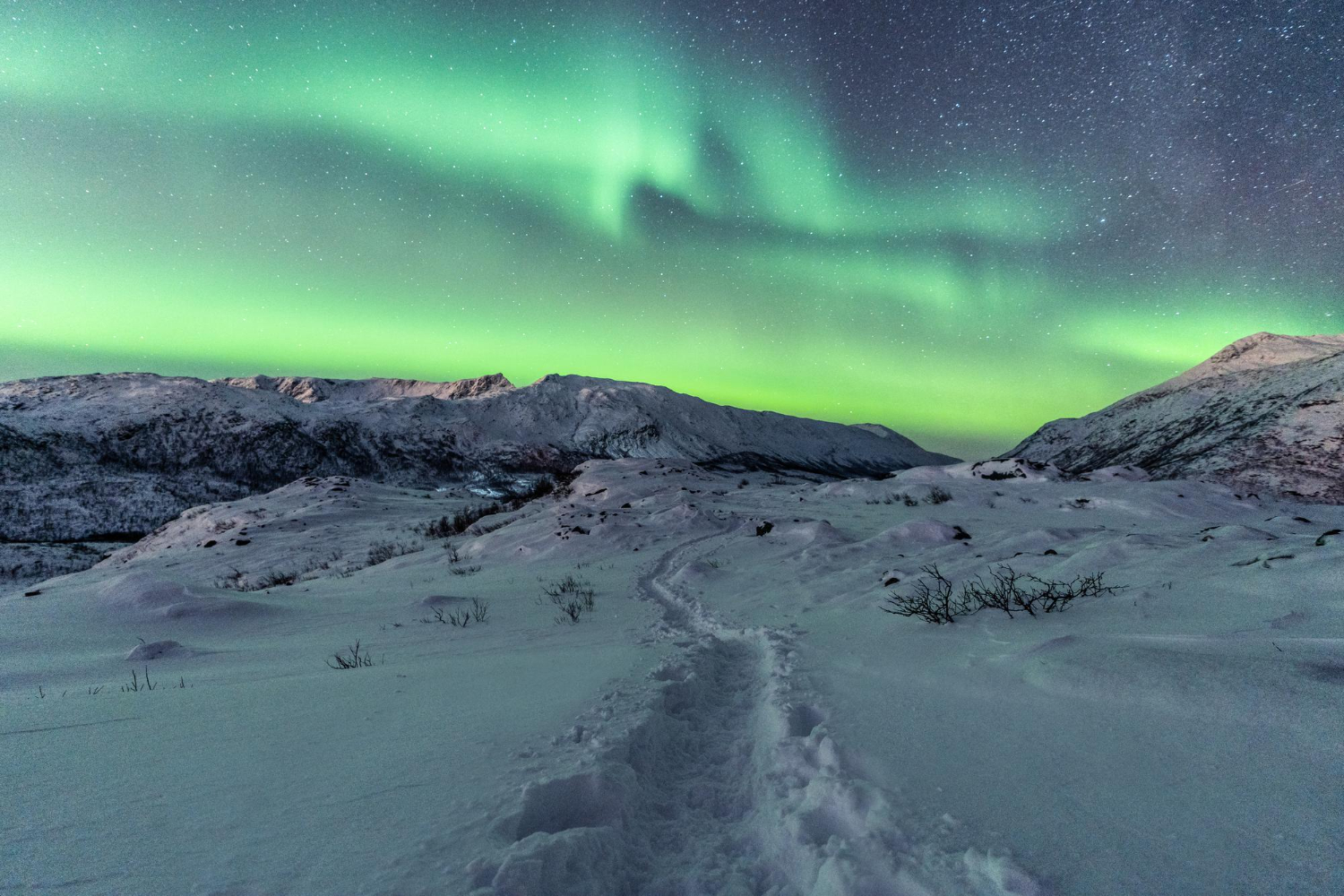 Northern Lights