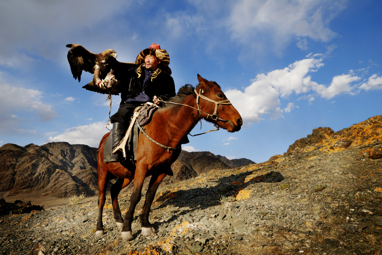 Mongolian eagle hunting 