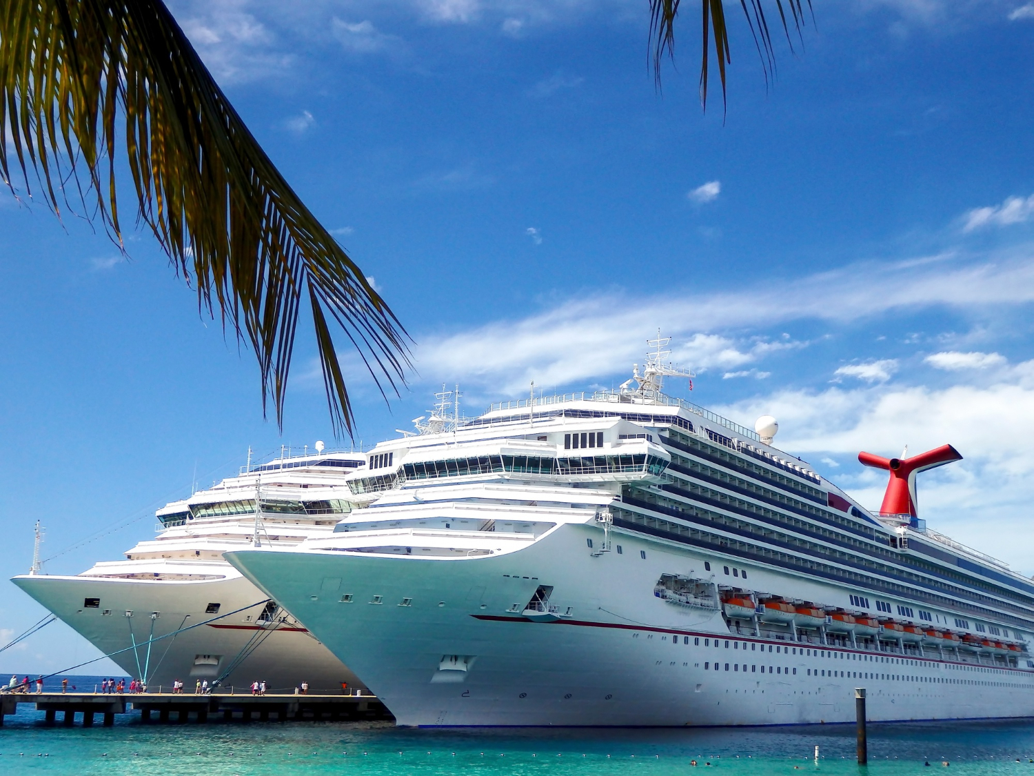 Cruise