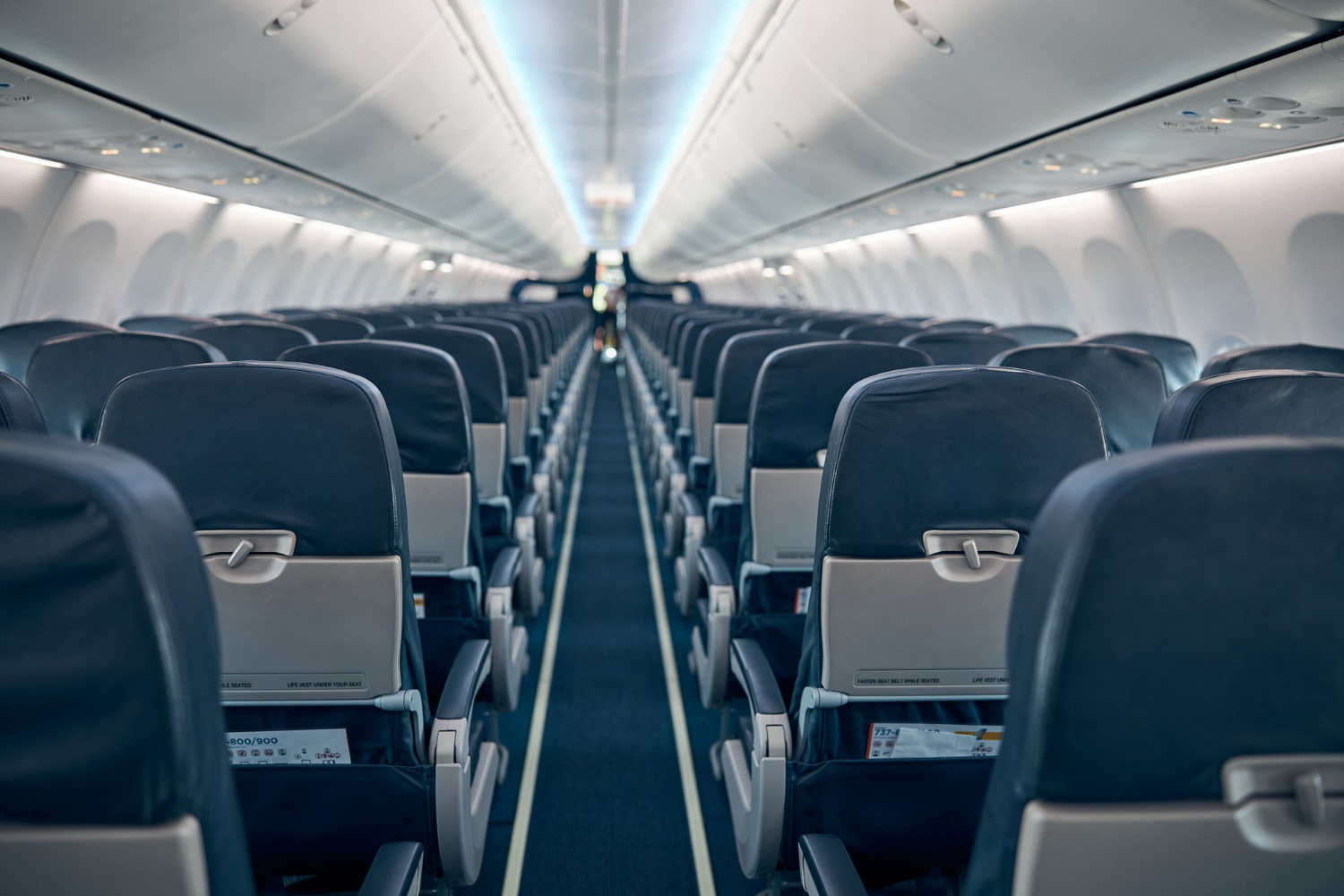 Plane seat