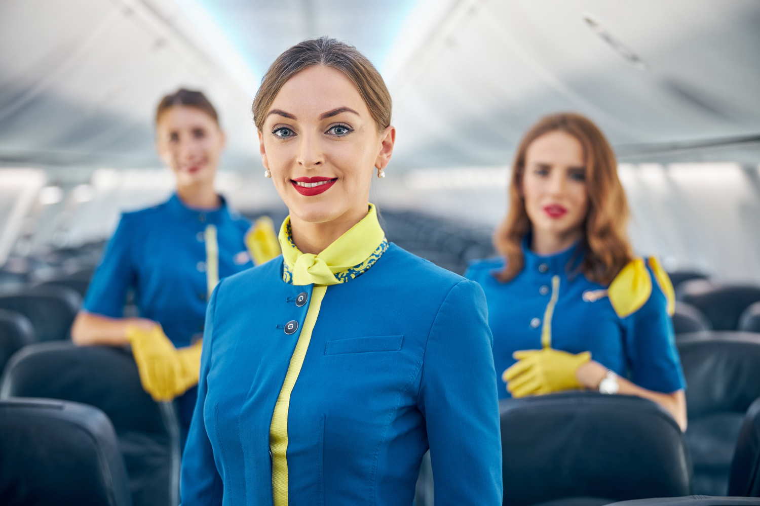 flight attendant
