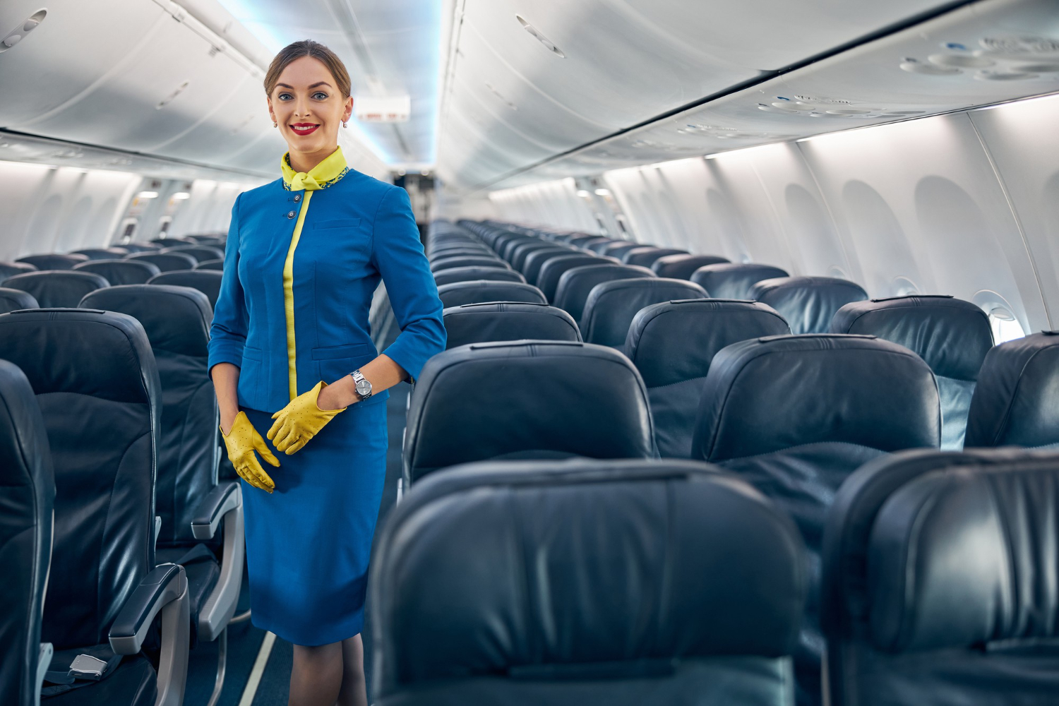 Flight Attendant