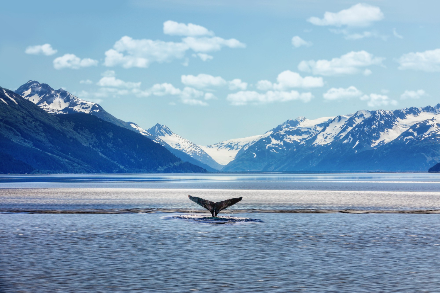 Alaska