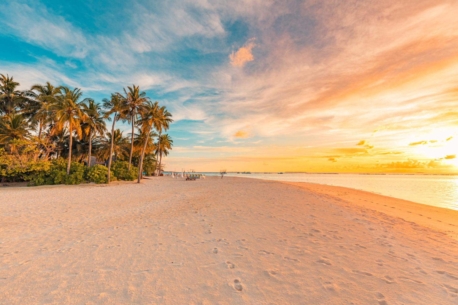 Beaches