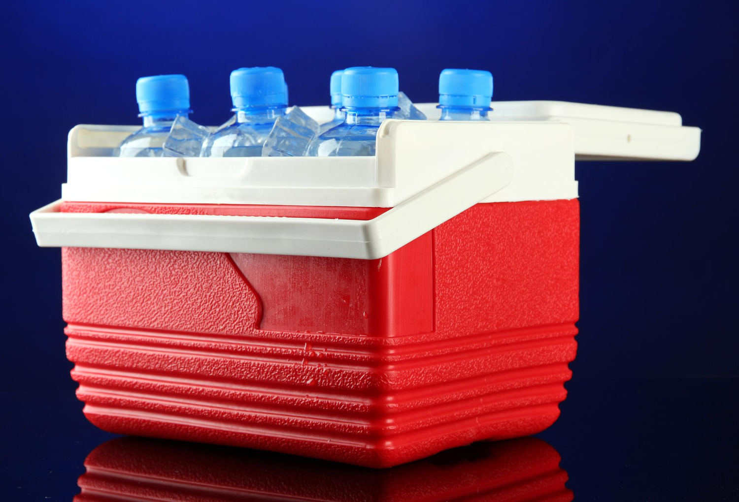 Beverage Cooler