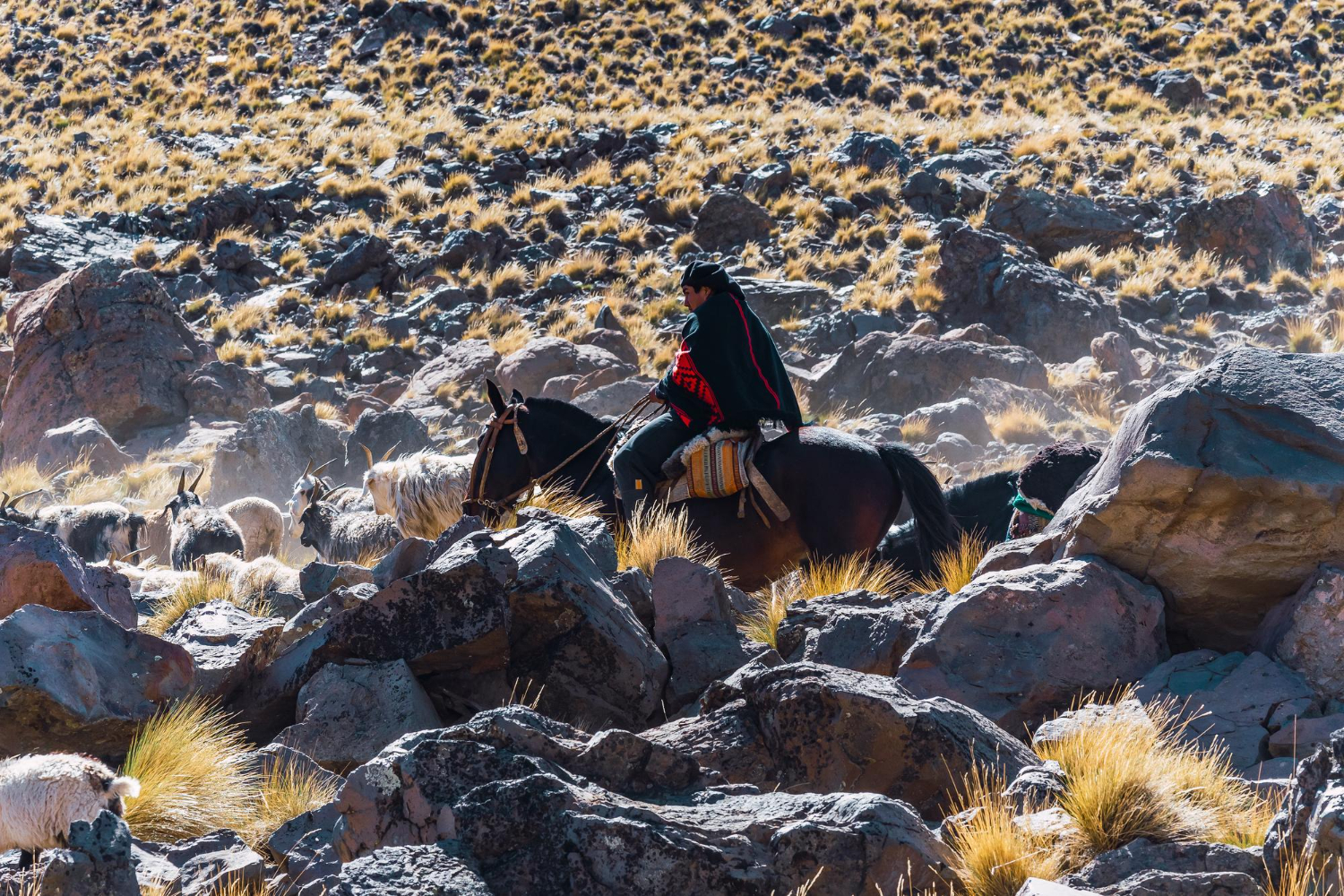 gaucho ranches