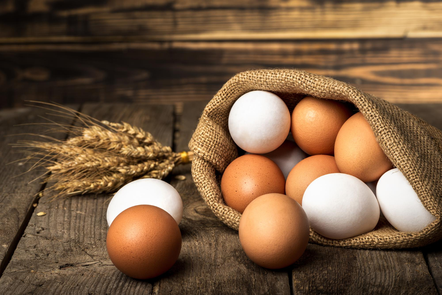 Eggs