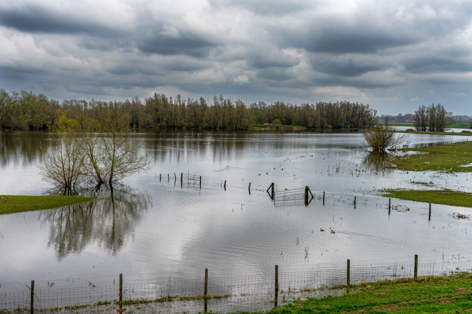 Flood