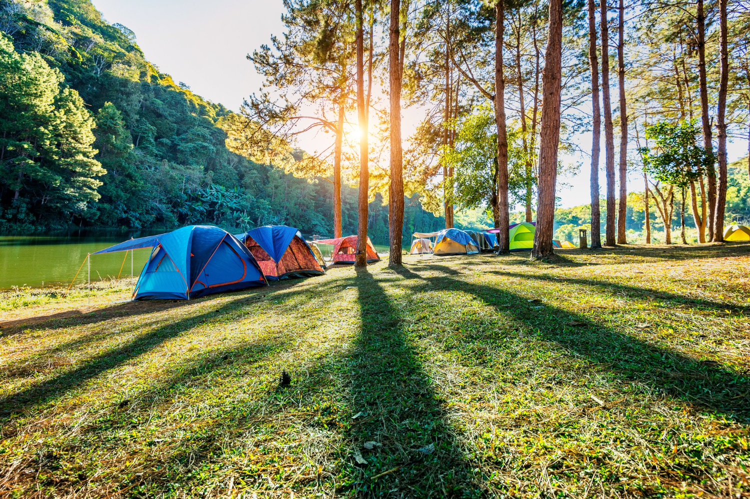 summer camp
