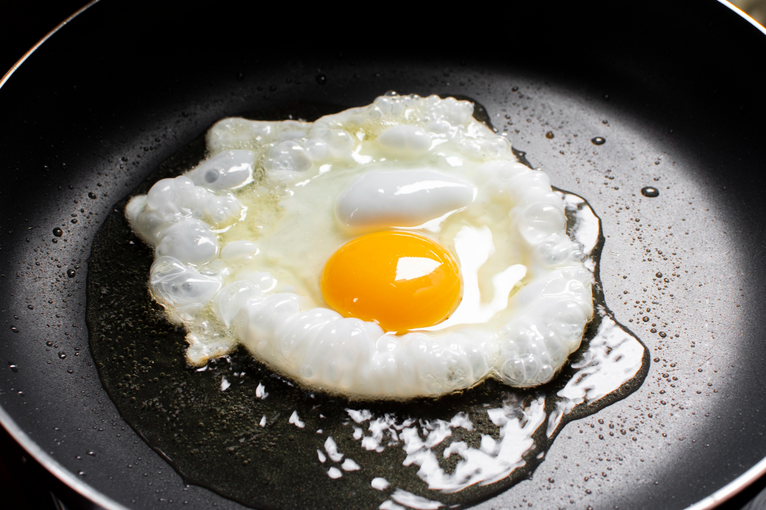 Egg