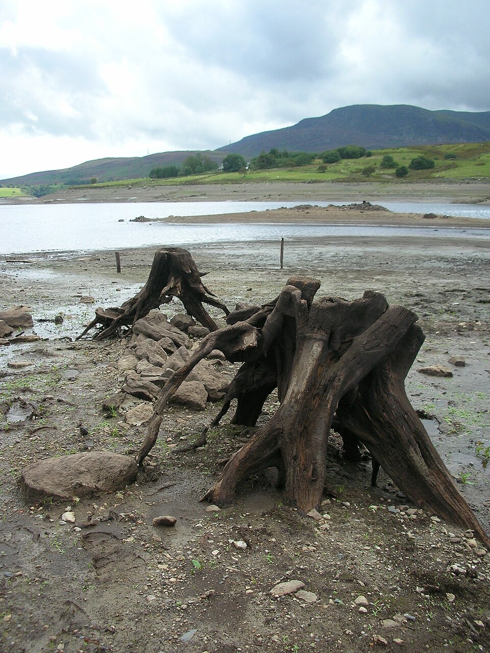 Llyn Celyn