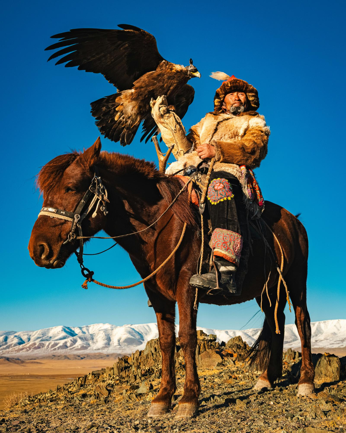 Mongolian eagle hunting 
