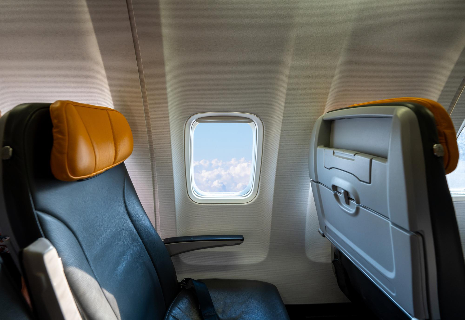 Flight Attendant
