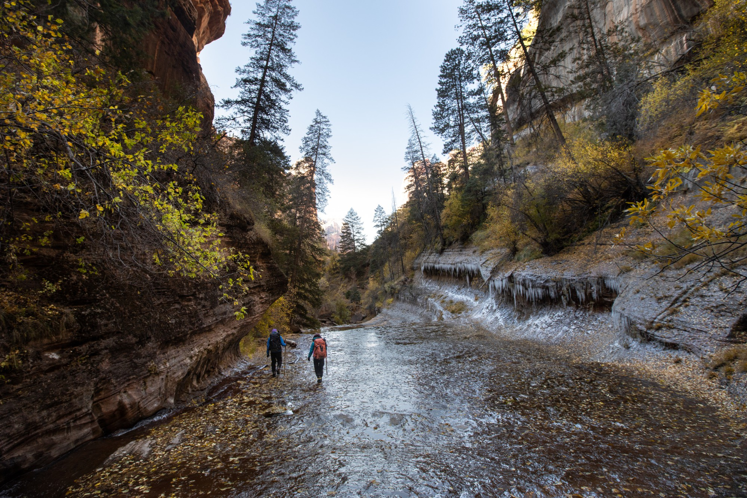 Hiking