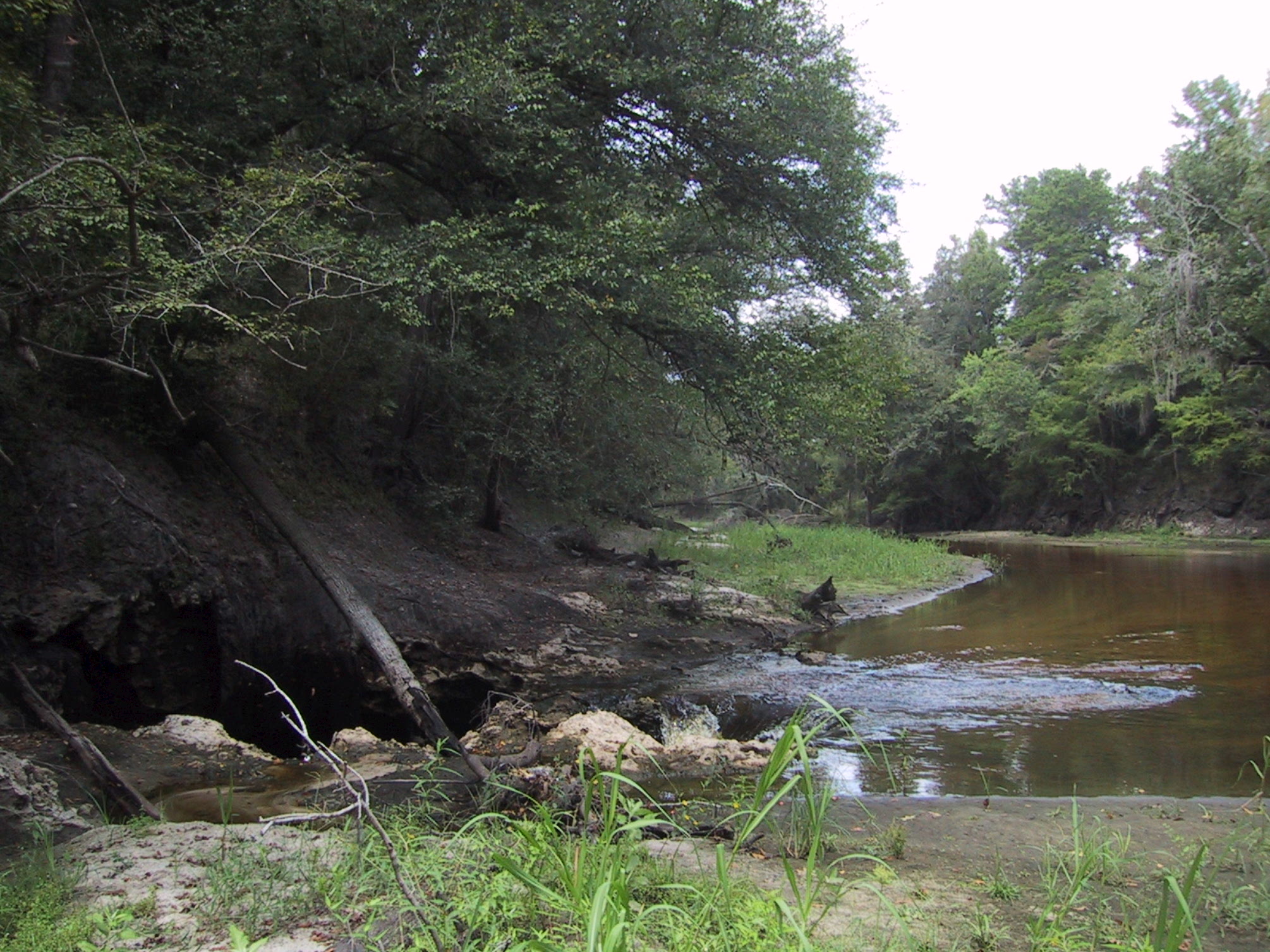The Floridian aquifer