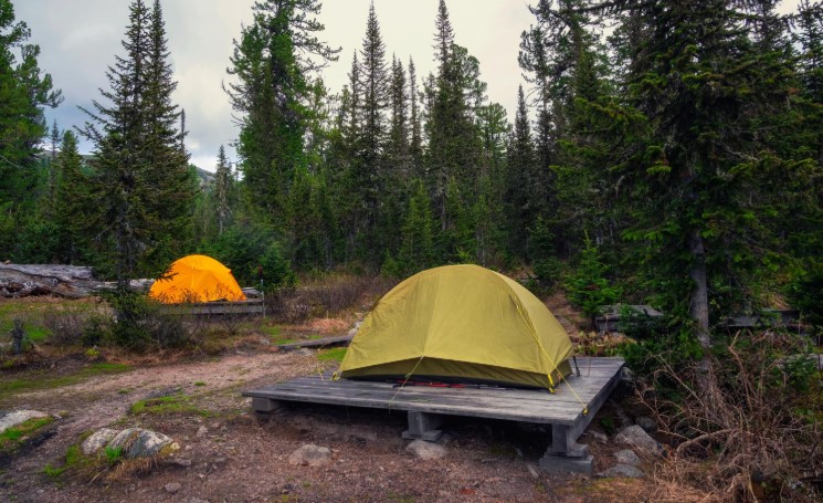 Heading to a National Park This Summer 10 Items Rangers Will Confiscate at the Gate in 2026