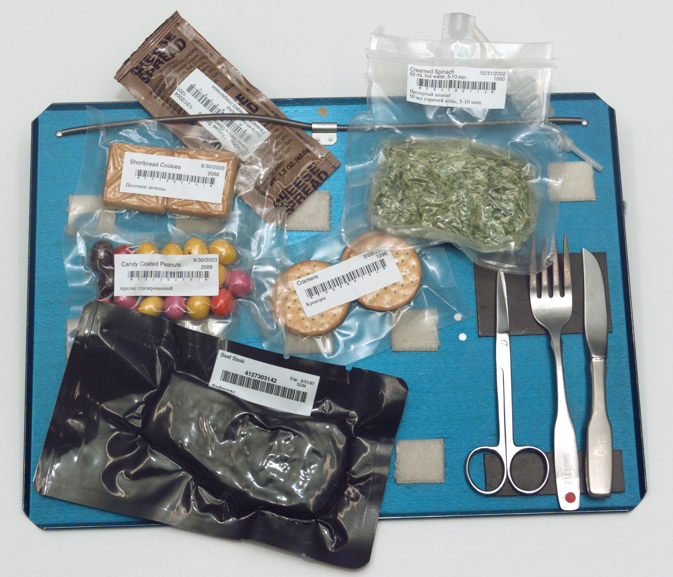 Space Food