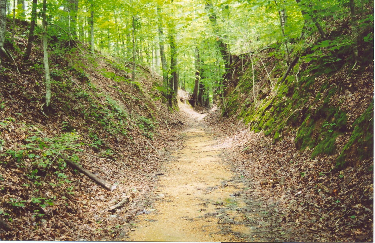 Off-Trail