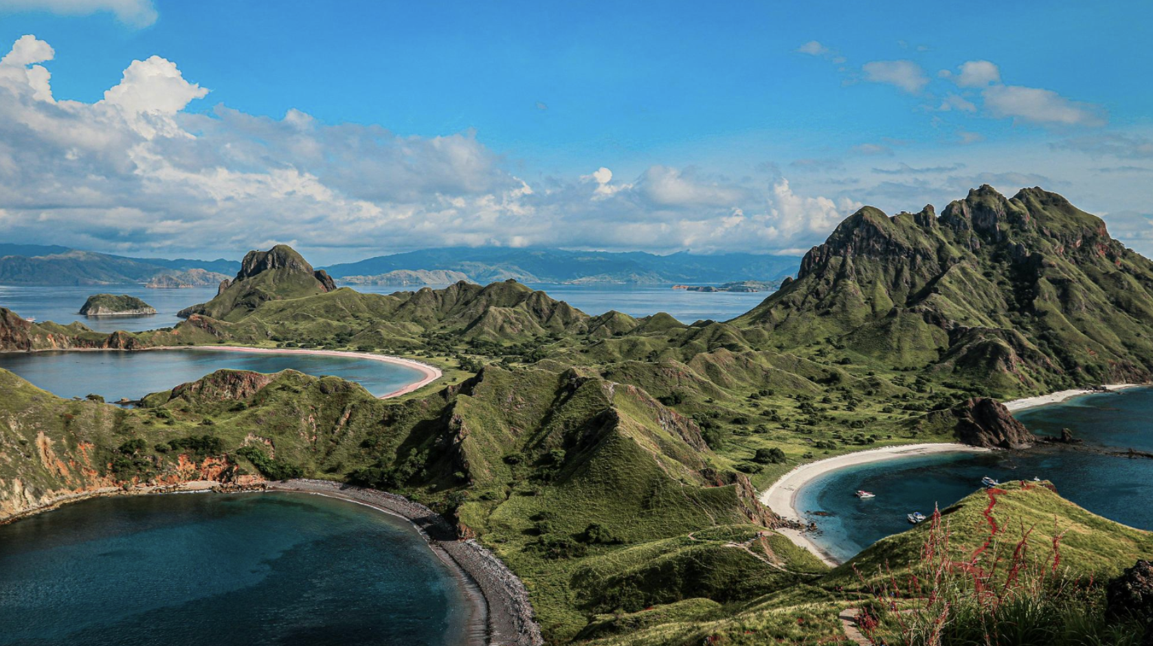 The Indonesian island where 1,800 people share 291 square km with 1,700 prehistoric dragons that can kill water buffalo