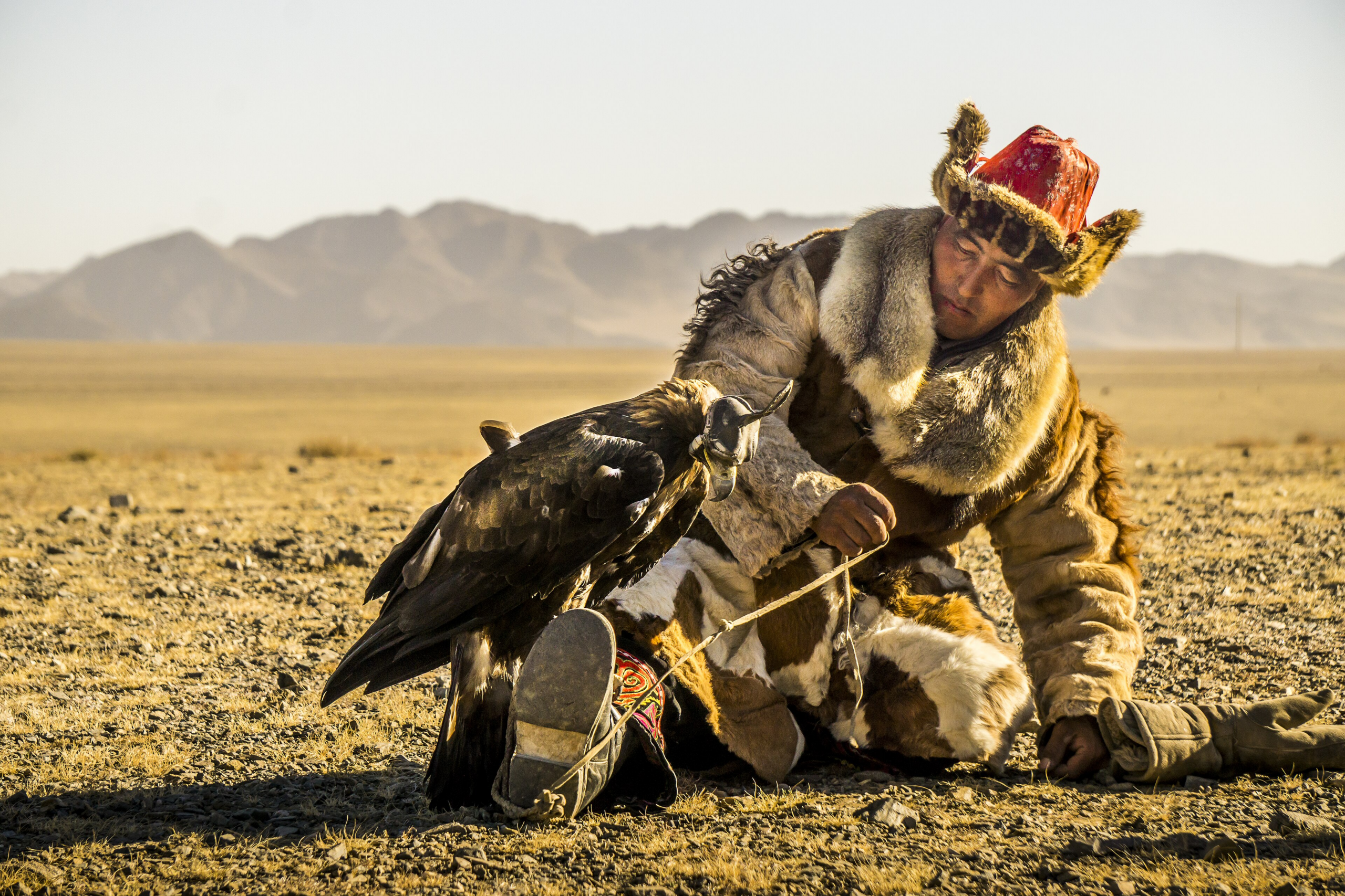 Mongolian eagle hunting 