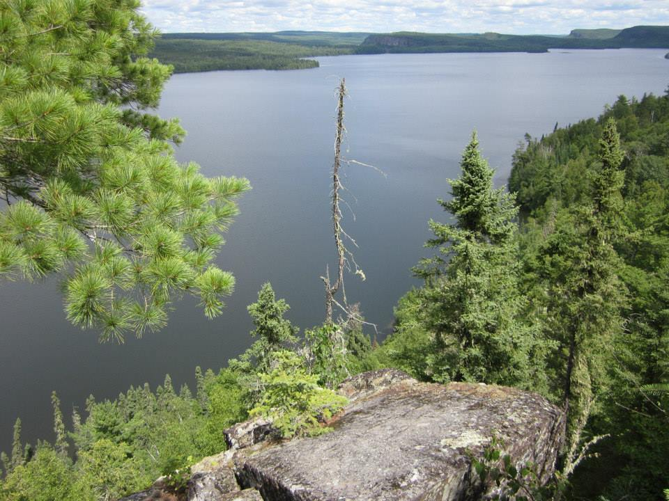 Lake Rose
