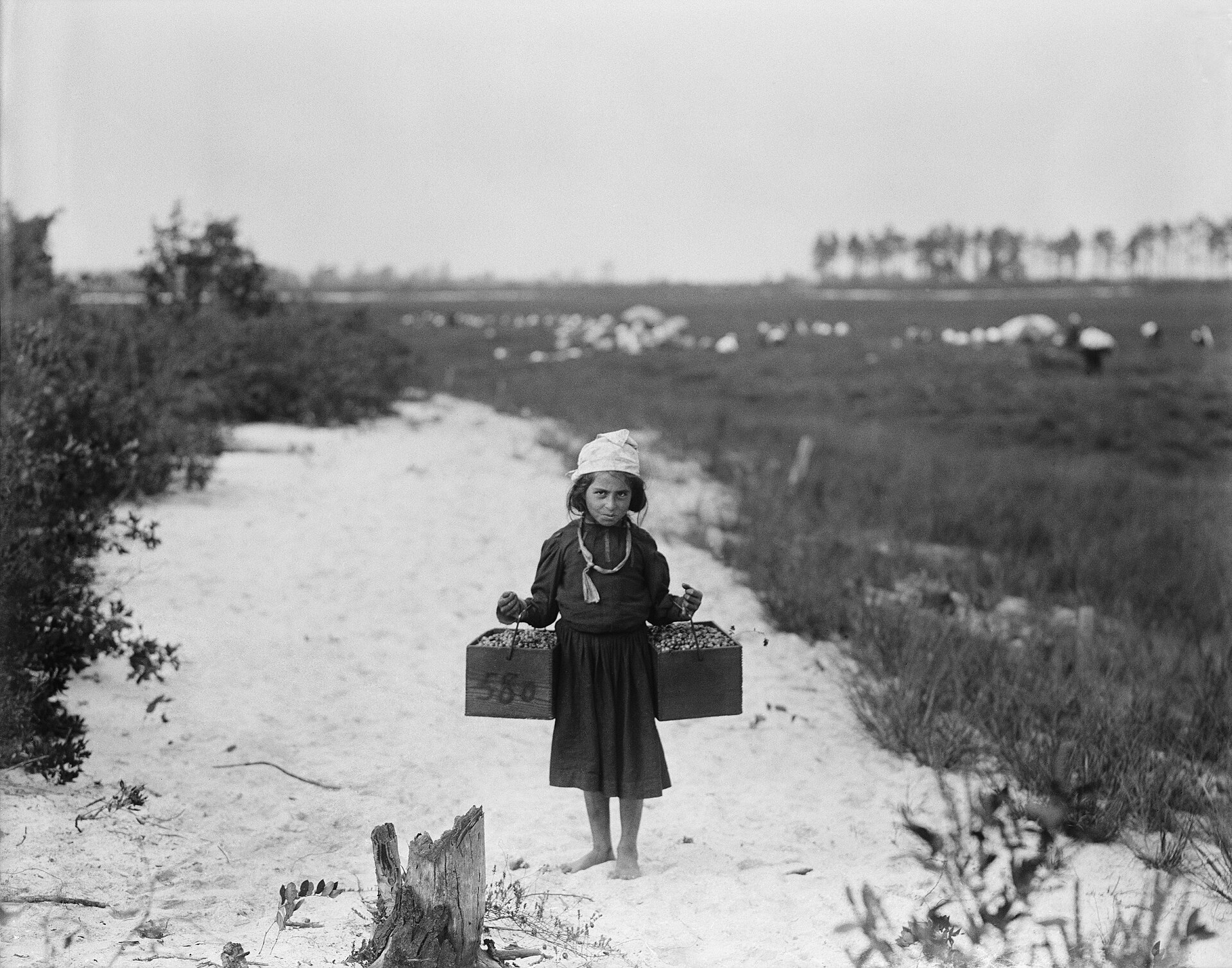 Child Labor