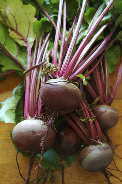 Beets