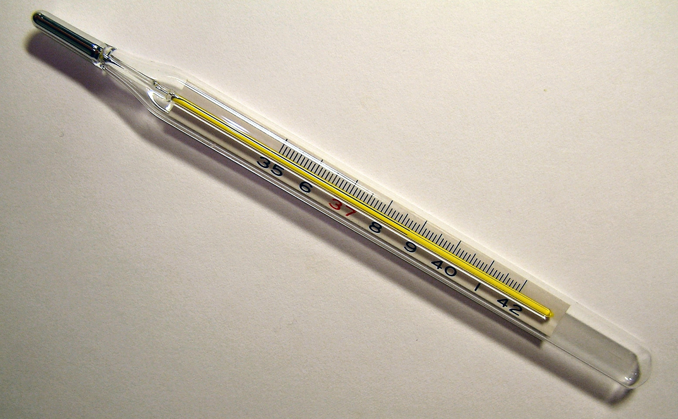14 Everyday Features of a 1962 American Home That Would Fail Today’s Safety Inspection