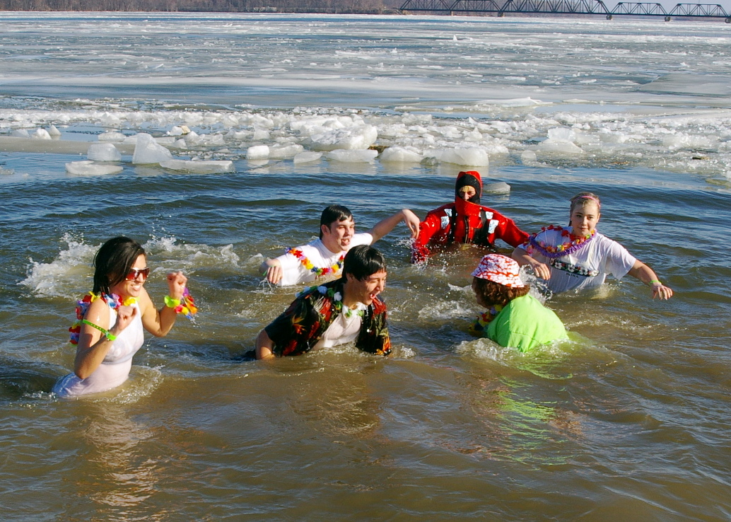 Polar bear plunges
