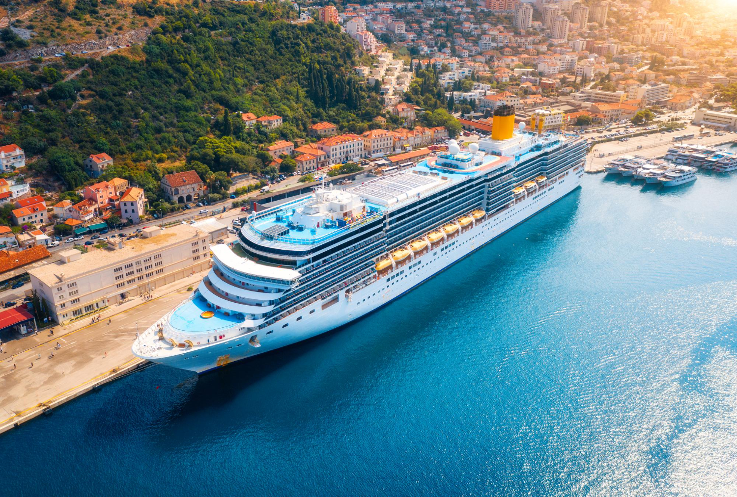 Cruise