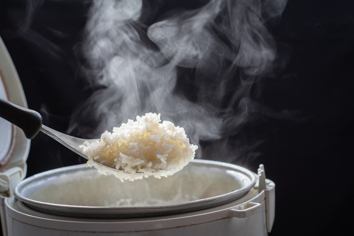 Rice