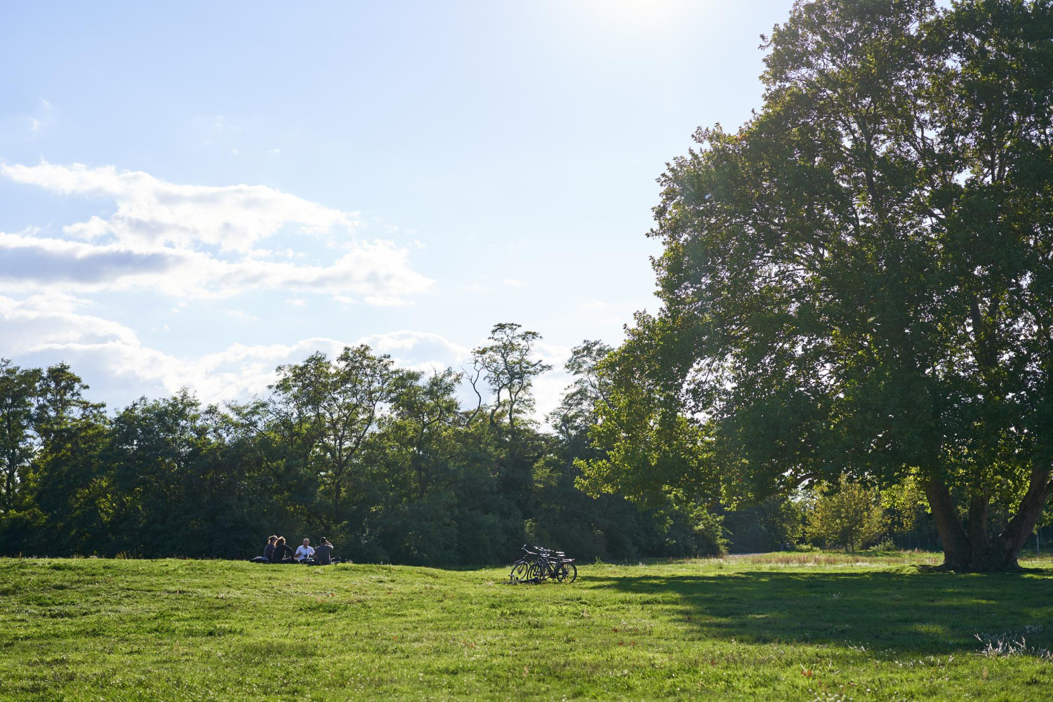 Park