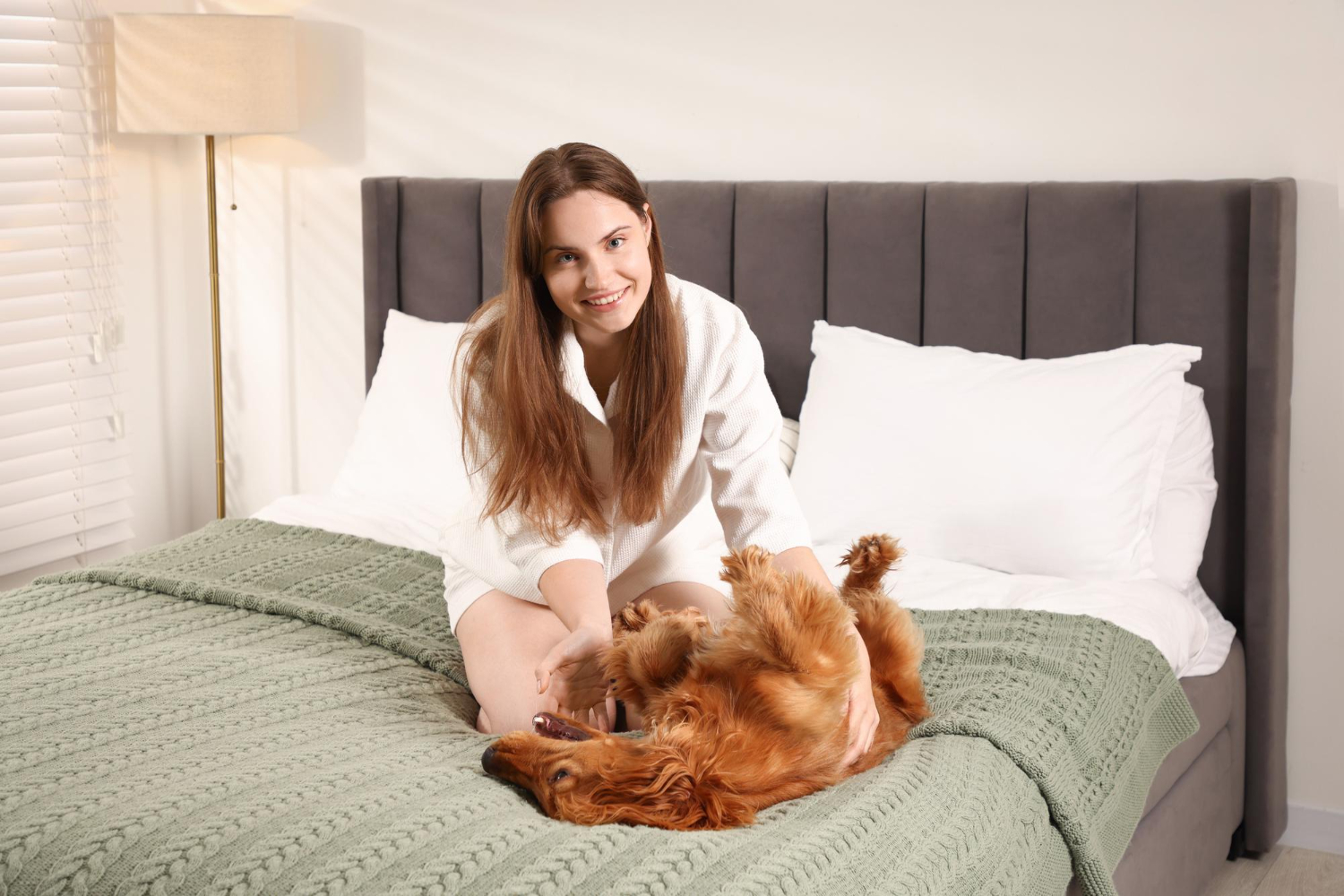 Pet