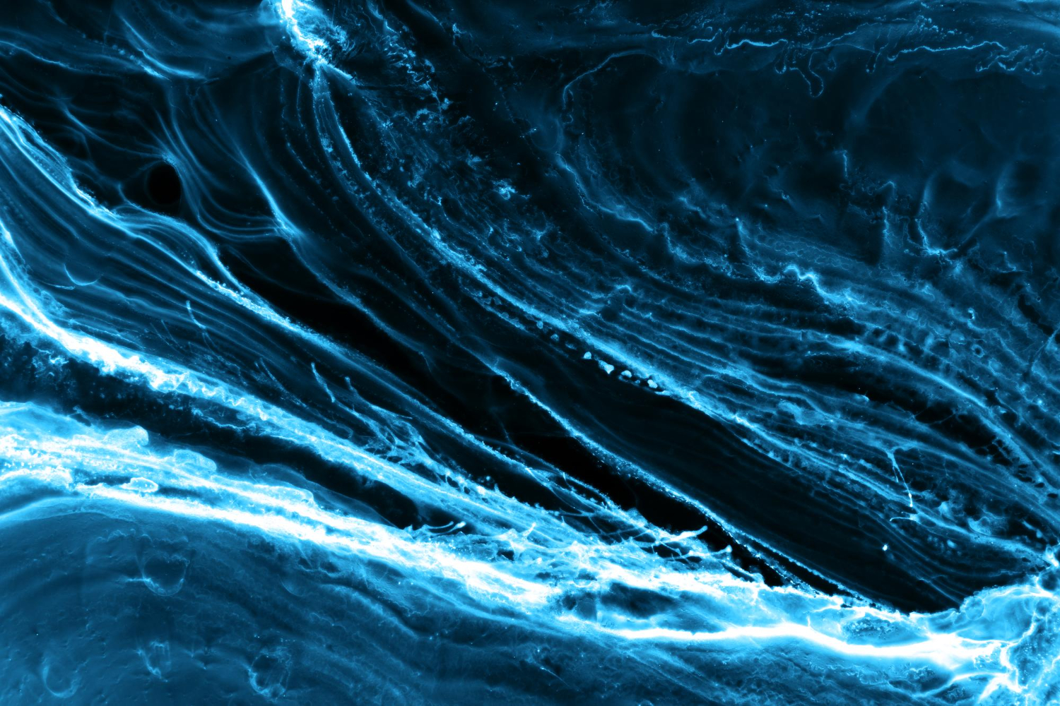 bioluminescent waves