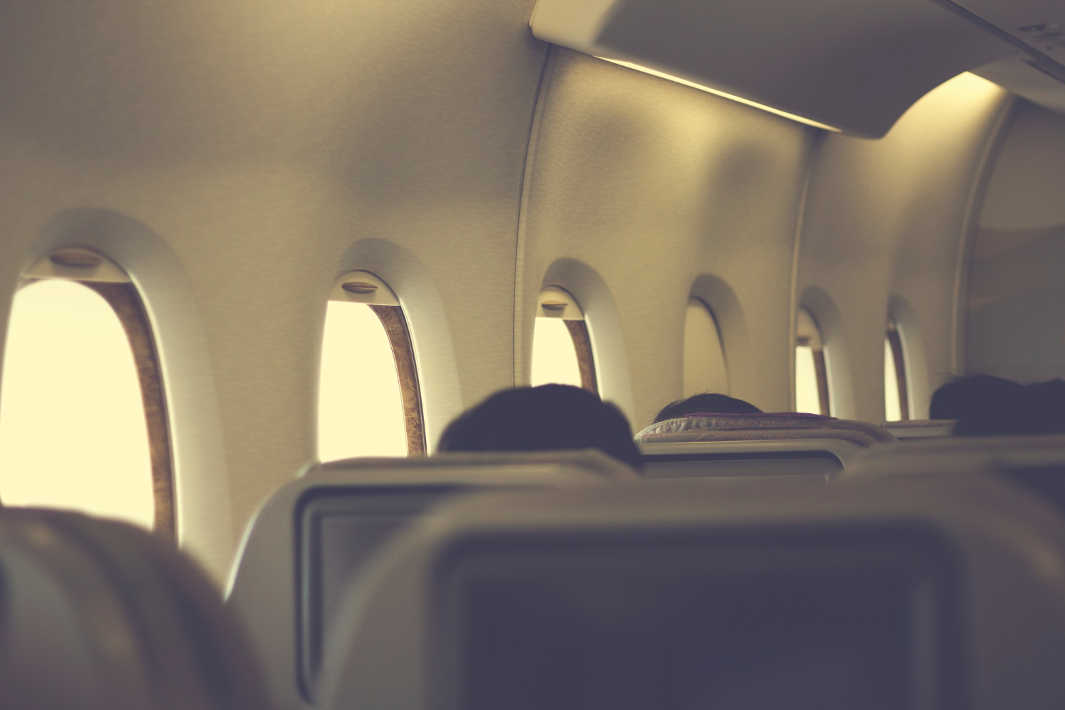 Flight Passengers