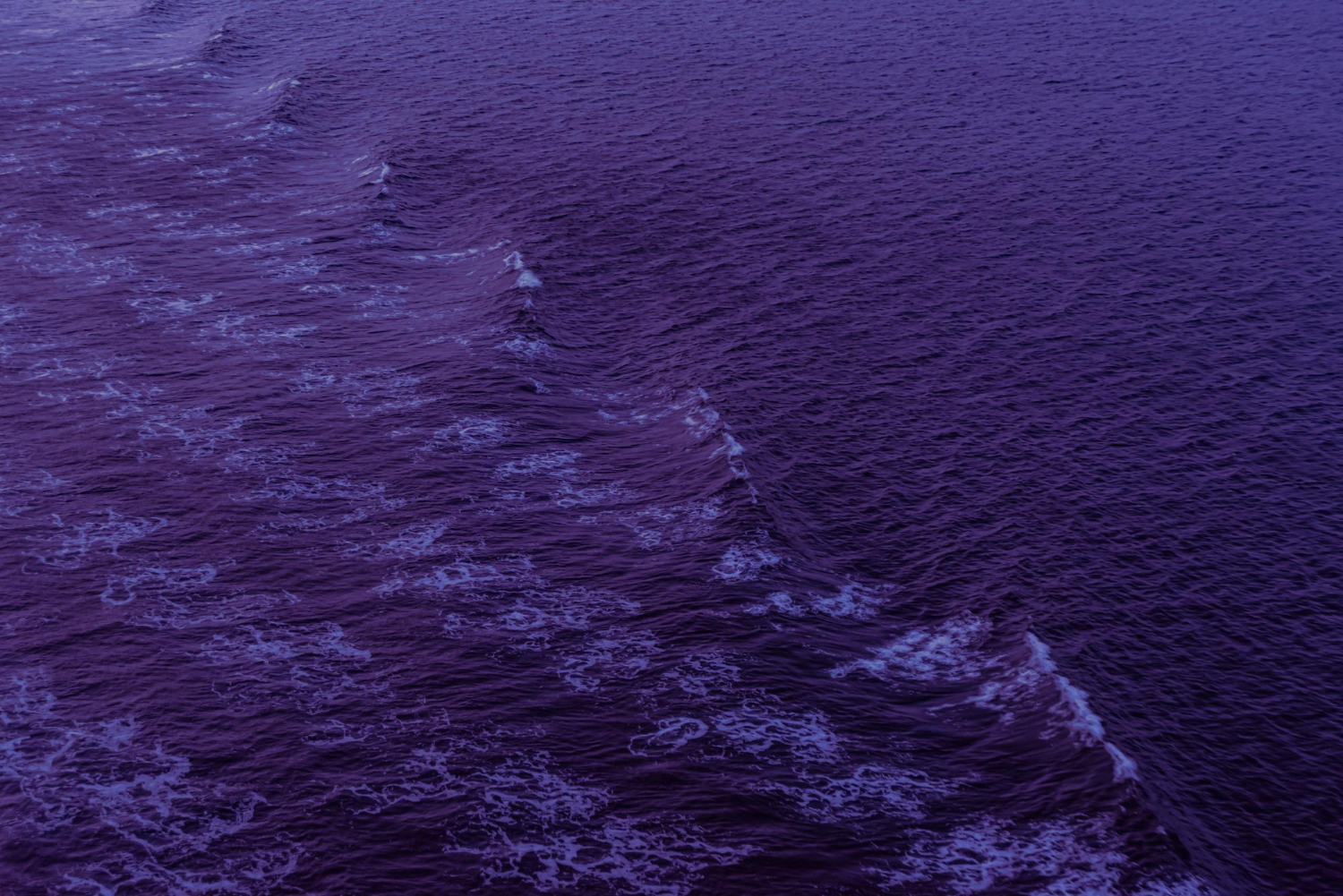 Bioluminescent Waves