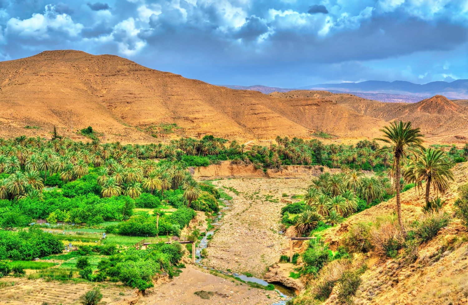 Algeria
