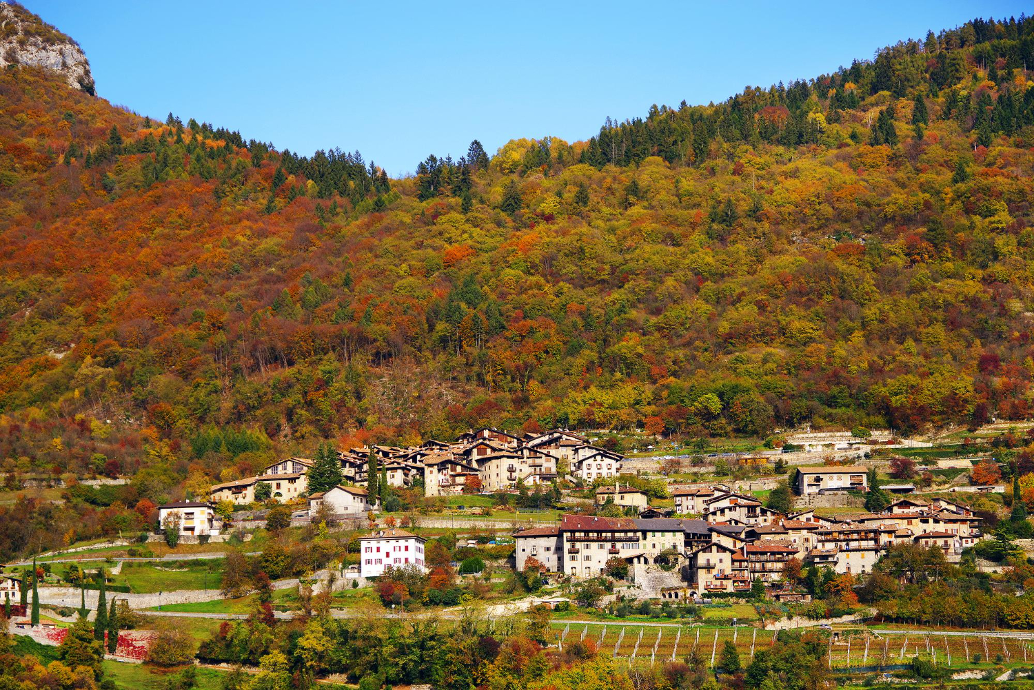 Town In Autumn
