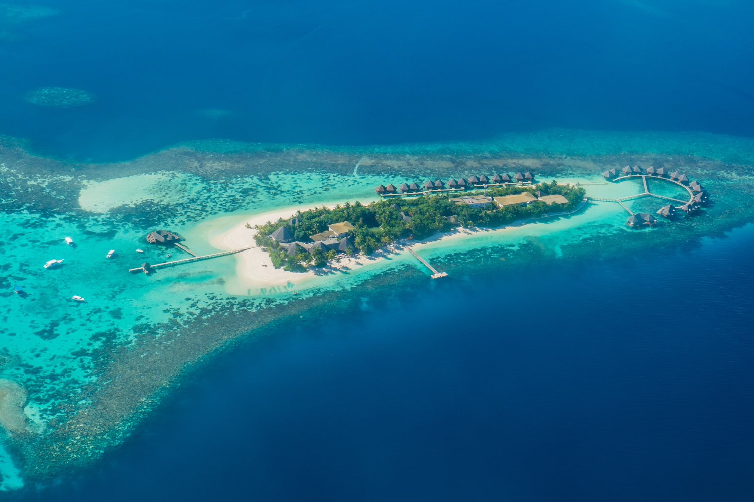 Tropical Island