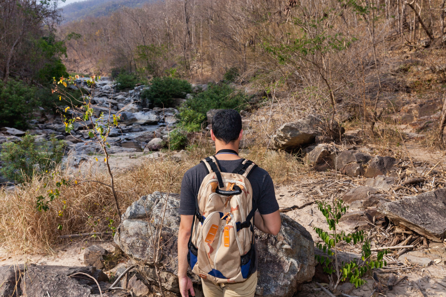 Hiking