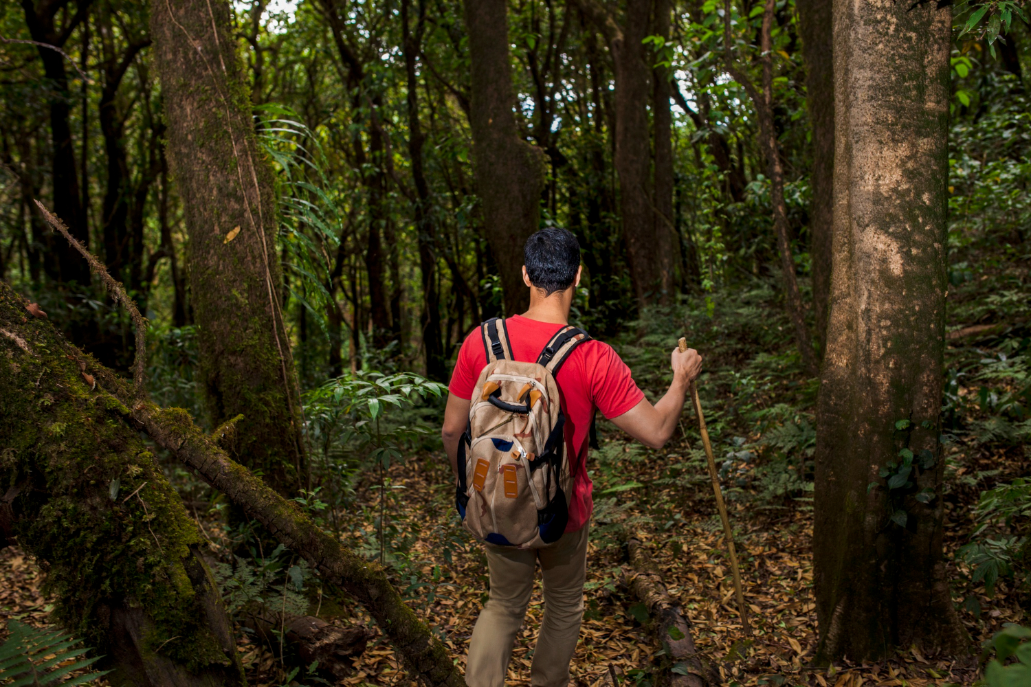 Hiking