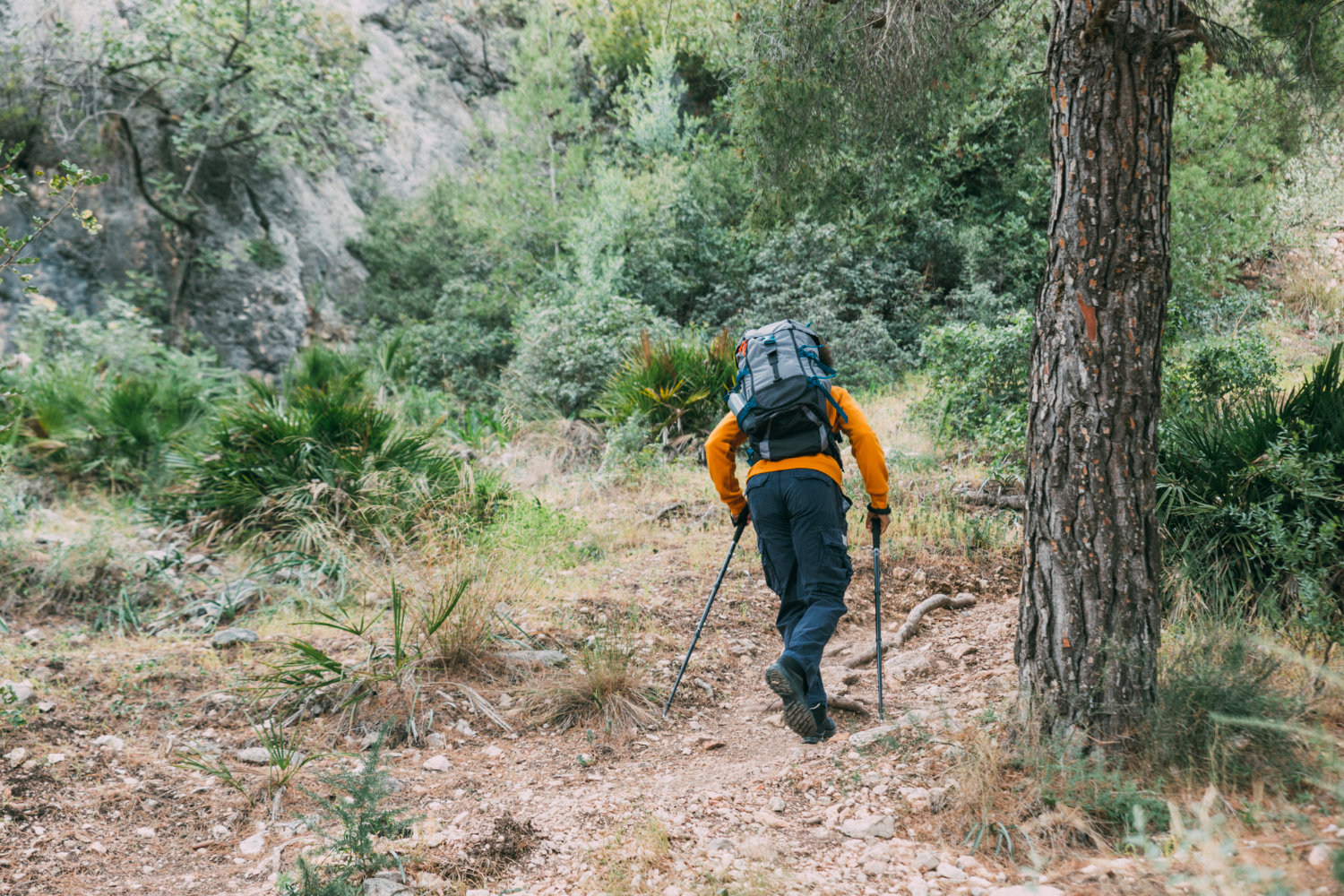 Hiking