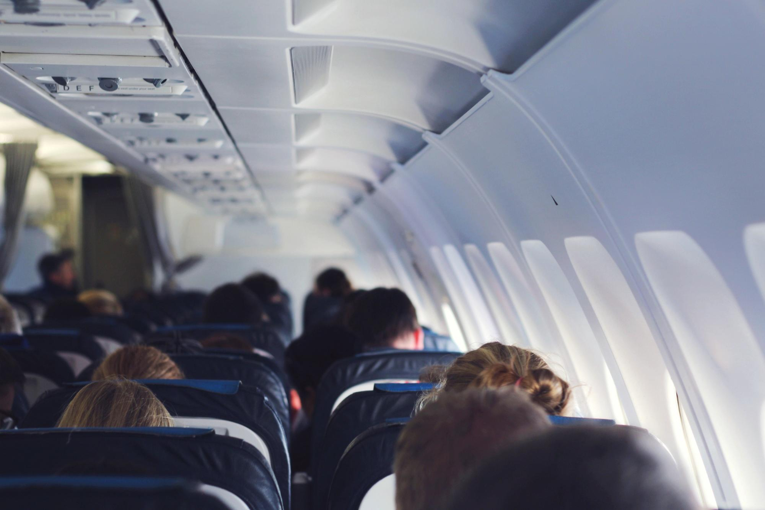 Pets in plane