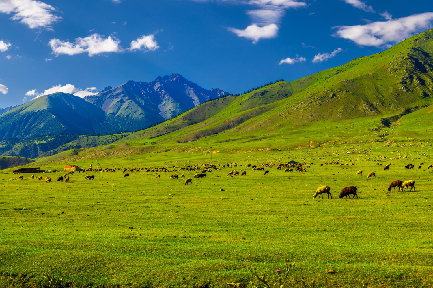 Kyrgyzstan