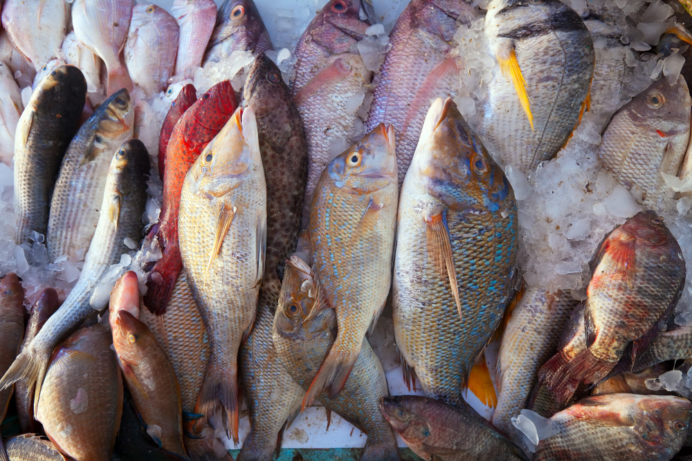 Fish and Seafood