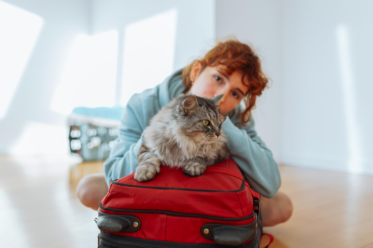 Pets in plane