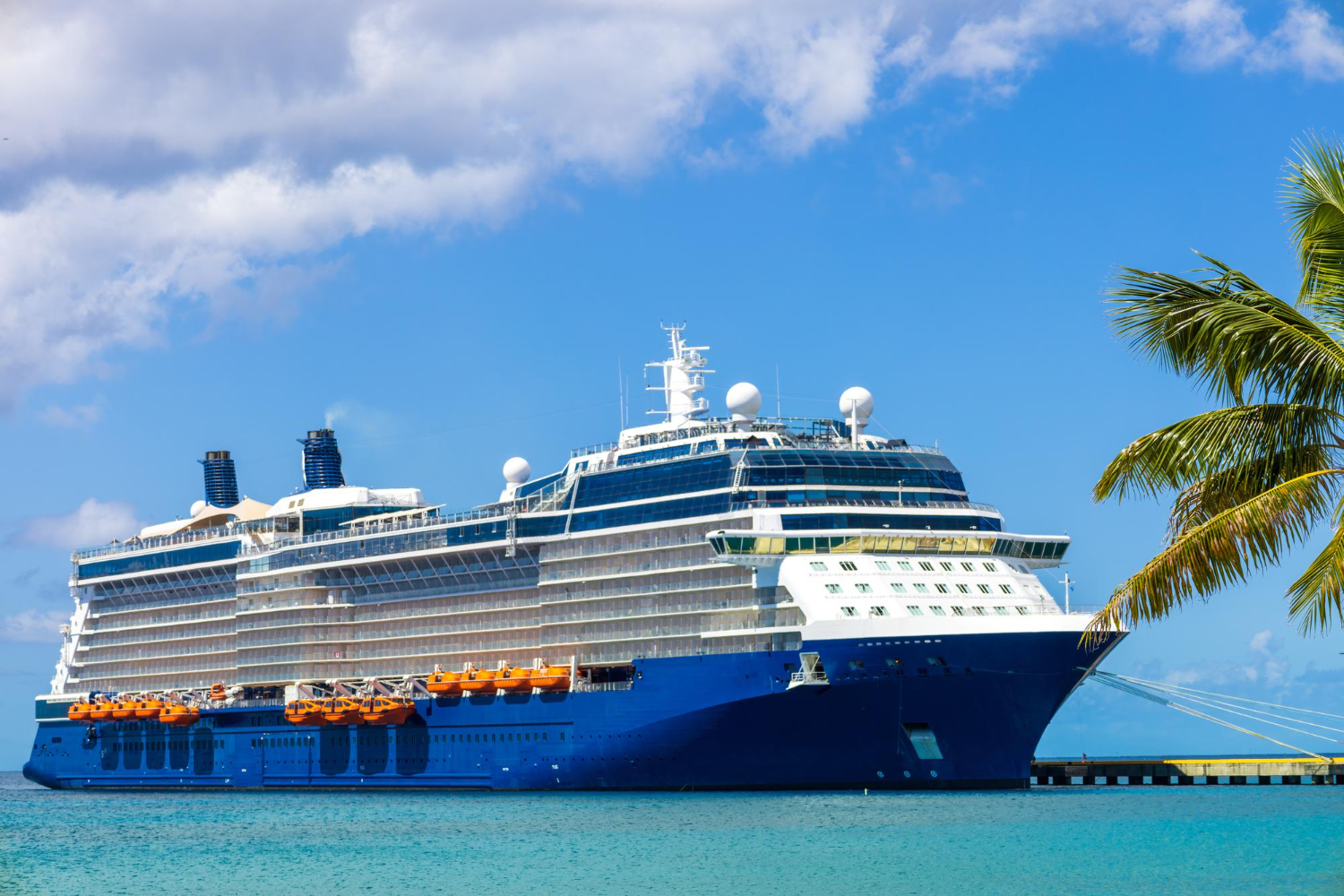 Cruise