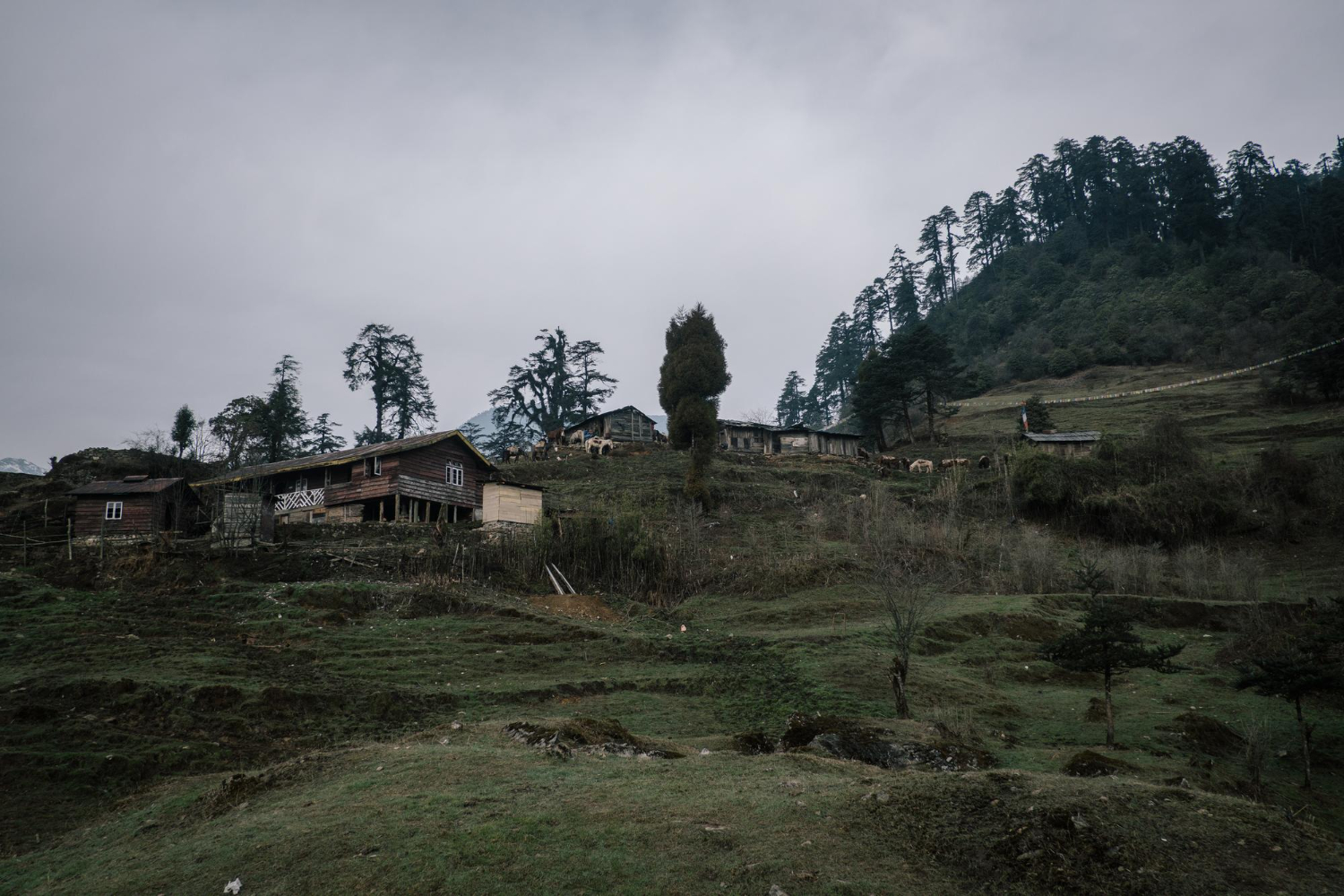 Ghost Village