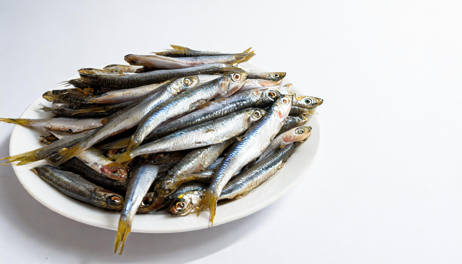 Anchovies